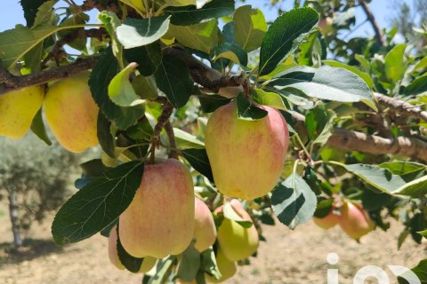 Casa in vendita a Casarabonela, Malaga, Spagna 2 camere da letto, 120 mq. N° 153178 - foto 21