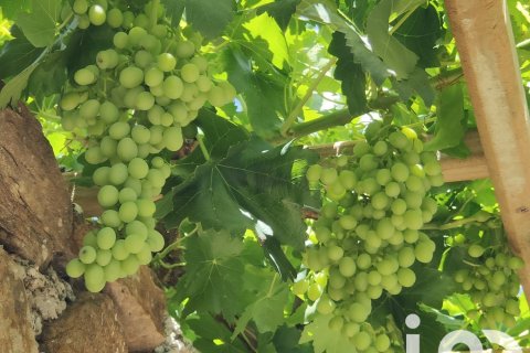 Casa in vendita a Casarabonela, Malaga, Spagna 2 camere da letto, 120 mq. N° 153178 - foto 30