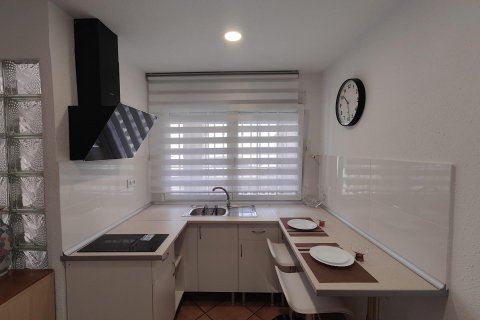 Huoneisto vuokrattavana Alicante, Espanja , 28 m2 No. 166570 - kuva 3
