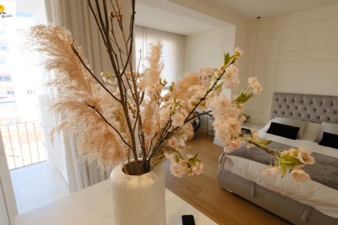 Dzīvoklis Valencia, Spānijā 1 istaba, 132 m2 Nr. 166568