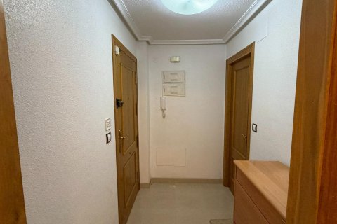 Apartament w Torrevieja, Alicante, Hiszpania 1 sypialnia, 92 mkw. nr 166572 – zdjęcie 20