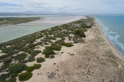 Apartamento en venta en La Marina, Alicante, España 2 dormitorios, 78 m2 No. 145459 - foto 6