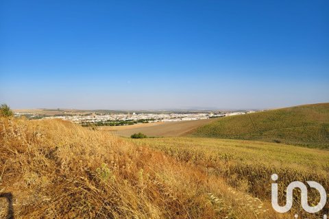 Liikekiinteistö myytävänä Ecija, Seville, Espanja ,  No. 153150 - kuva 6