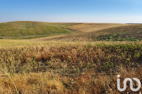 Liikekiinteistö myytävänä Ecija, Seville, Espanja ,  No. 153150 - kuva 3