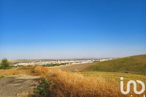 Liikekiinteistö myytävänä Ecija, Seville, Espanja ,  No. 153150 - kuva 5