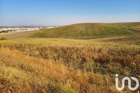 Liikekiinteistö myytävänä Ecija, Seville, Espanja ,  No. 153150 - kuva 4