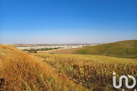 Propiedad comercial en Écija, Sevilla, España No. 153150