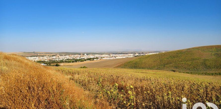 Liikekiinteistö Ecija, Seville, Espanja No. 153150