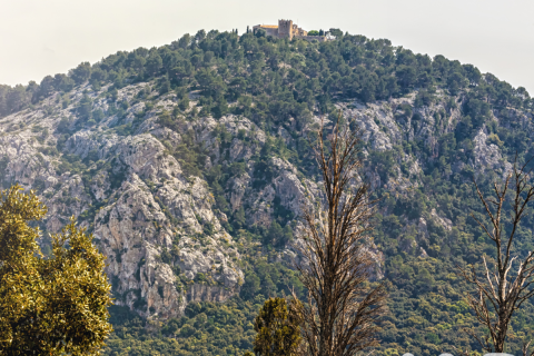 Продажа квартиры в Полленка, Майорка, Испания 2 спальни, 69м2 №153146 - фото 30