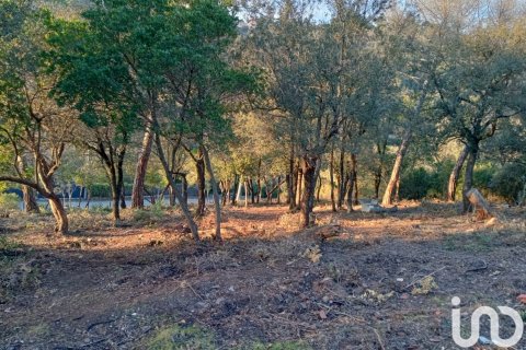 Terreno a Vacarisses, Barcelona, Spagna 2400 mq. N° 186057