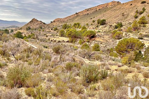 Terreno in vendita a Agost, Alicante, Spagna 9238 mq. N° 186058 - foto 16