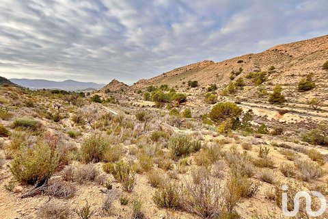 Terreno in vendita a Agost, Alicante, Spagna 9238 mq. N° 186058 - foto 15