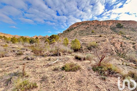 Terreno in vendita a Agost, Alicante, Spagna 9238 mq. N° 186058 - foto 5