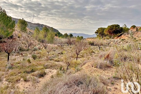 Terreno in vendita a Agost, Alicante, Spagna 9238 mq. N° 186058 - foto 3