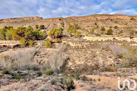Terreno in vendita a Agost, Alicante, Spagna 9238 mq. N° 186058 - foto 12