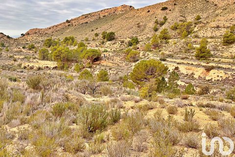 Terreno in vendita a Agost, Alicante, Spagna 9238 mq. N° 186058 - foto 17