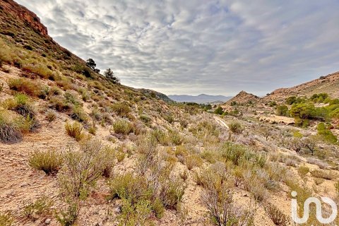 Terreno in vendita a Agost, Alicante, Spagna 9238 mq. N° 186058 - foto 14