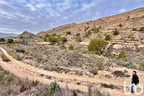 Terreno in vendita a Agost, Alicante, Spagna 9238 mq. N° 186058 - foto 24