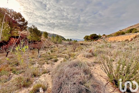 Terreno in vendita a Agost, Alicante, Spagna 9238 mq. N° 186058 - foto 4
