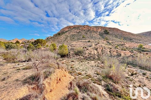 Terreno in vendita a Agost, Alicante, Spagna 9238 mq. N° 186058 - foto 6