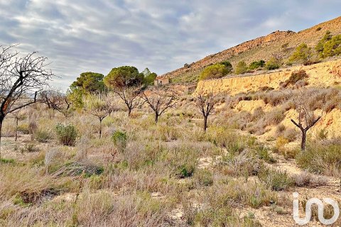 Terreno in vendita a Agost, Alicante, Spagna 9238 mq. N° 186058 - foto 2