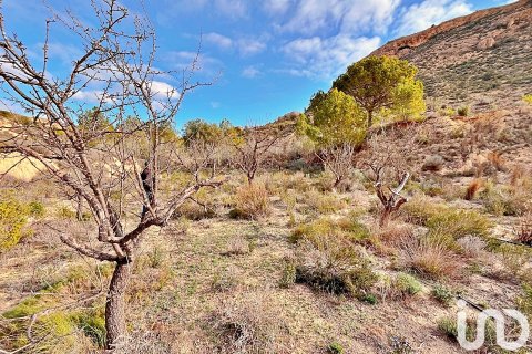 Terreno in vendita a Agost, Alicante, Spagna 9238 mq. N° 186058 - foto 11