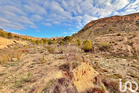 Terreno in vendita a Agost, Alicante, Spagna 9238 mq. N° 186058 - foto 7