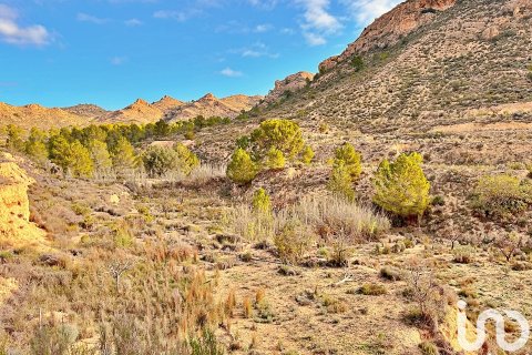 Terreno in vendita a Agost, Alicante, Spagna 9238 mq. N° 186058 - foto 9