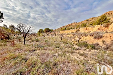 Terreno a Agost, Alicante, Spagna 9238 mq. N° 186058