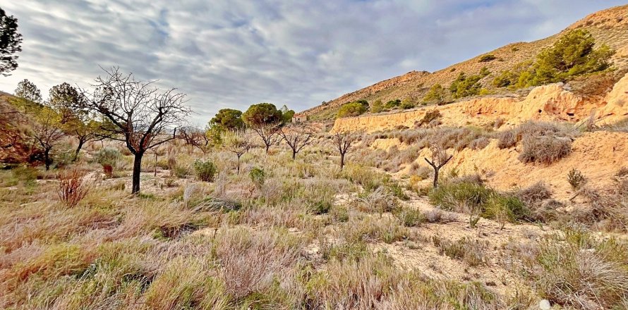 Terreno a Agost, Alicante, Spagna 9238 mq. N° 186058