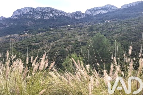 Terreno in vendita a Denia, Alicante, Spagna 935 mq. N° 185327 - foto 5