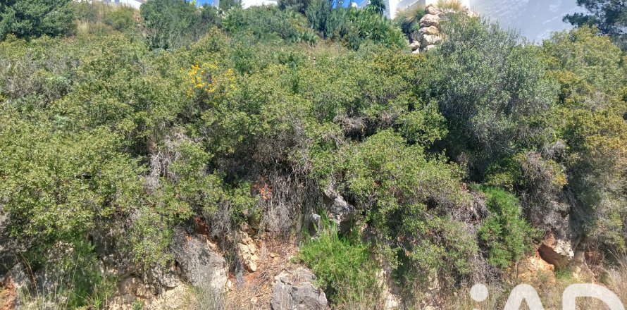Terreno a Denia, Alicante, Spagna 935 mq. N° 185327