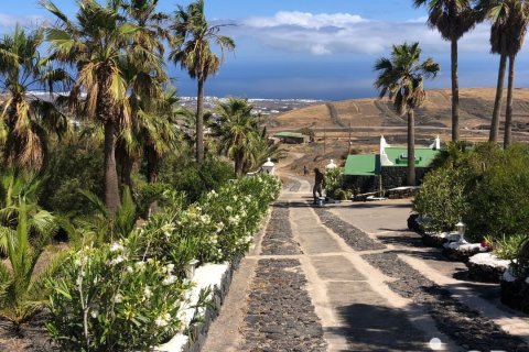 Дом в Ла Асомада, Тенерифе, Испания 6 спален, 41377м2 №154052