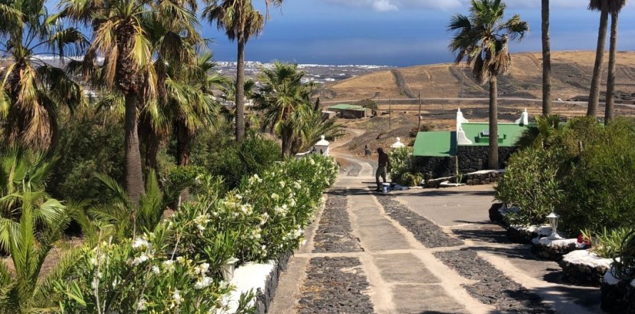 Дом в Ла Асомада, Тенерифе, Испания 6 спален, 41377м2 №154052