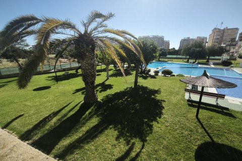 Huoneisto Torrevieja, Alicante, Espanja 3 makuuhuonetta, 65 m2 No. 173503
