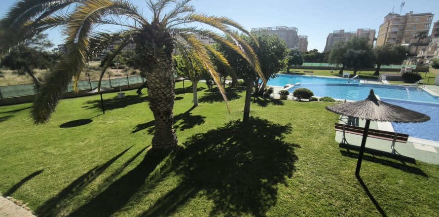 Lägenhet i Torrevieja, Alicante, Spanien 3 sovrum, 65 kvm. Nr. 173503