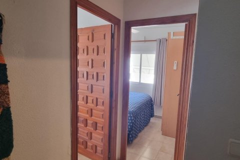 Triplex in vendita a Torrevieja, Alicante, Spagna 3 camere da letto, 75 mq. N° 173505 - foto 11