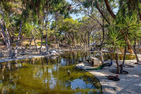 Apartment à vendre à Guardamar del Segura, Alicante, Espagne, 2 chambres, 64 m2 No. 154738 - photo 28