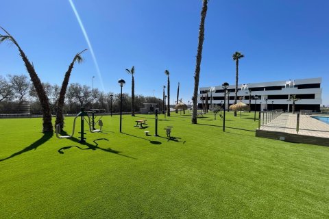 Apartament w Guardamar del Segura, Alicante, Hiszpania 3 sypialnie, 82 mkw. nr 154737 – zdjęcie 23