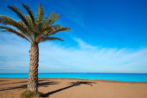 Lägenhet till salu i Denia, Alicante, Spanien 2 sovrum, 57 kvm. Nr. 154734 - foto 9