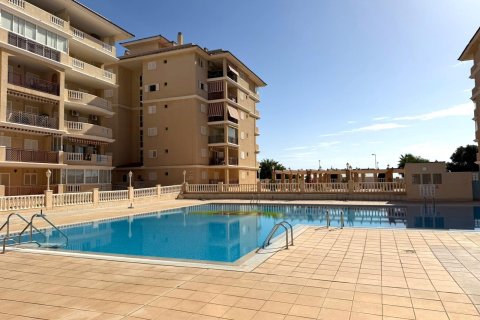 Appartamento a Torrevieja, Alicante, Spagna 1 camera da letto, 50 mq. N° 196000