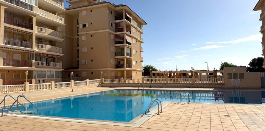 Appartamento a Torrevieja, Alicante, Spagna 1 camera da letto, 50 mq. N° 196000