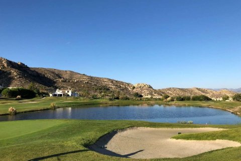Willa w Monforte del Cid, Alicante, Hiszpania 4 sypialnie,  nr 193289 – zdjęcie 20