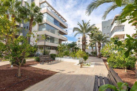 Apartament w Los Dolses, Alicante, Hiszpania 3 sypialnie, nr 147650 – zdjęcie 27