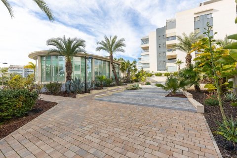 Apartament w Los Dolses, Alicante, Hiszpania 3 sypialnie, nr 147650 – zdjęcie 28