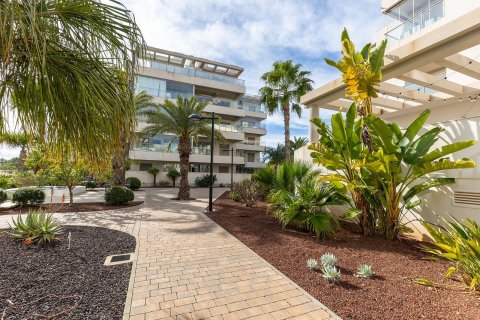 Apartament w Los Dolses, Alicante, Hiszpania 3 sypialnie, nr 147650 – zdjęcie 24