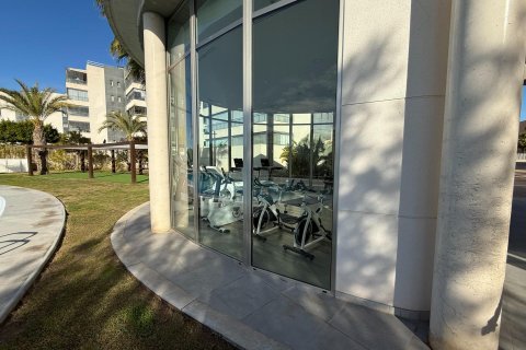 Apartment à vendre à Los Dolses, Alicante, Espagne, 3 chambres,  No. 147650 - photo 19