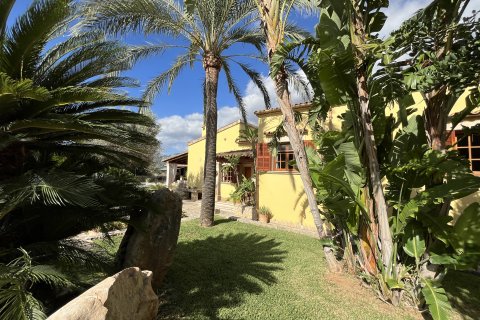 Finca for rent Inca, Mallorca, Spain 4 bedrooms, 142 sq.m. No. 139728 - photo 4
