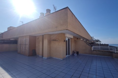 Penthouse Palma de Majorca, Mallorca, Hiszpania 3 sypialnie, 93 mkw. nr 139727 – zdjęcie 3