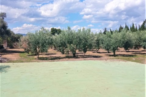 Dom w Mora d'Ebre, Tarragona, Hiszpania 5 sypialni, 375 mkw. nr 153219 – zdjęcie 4